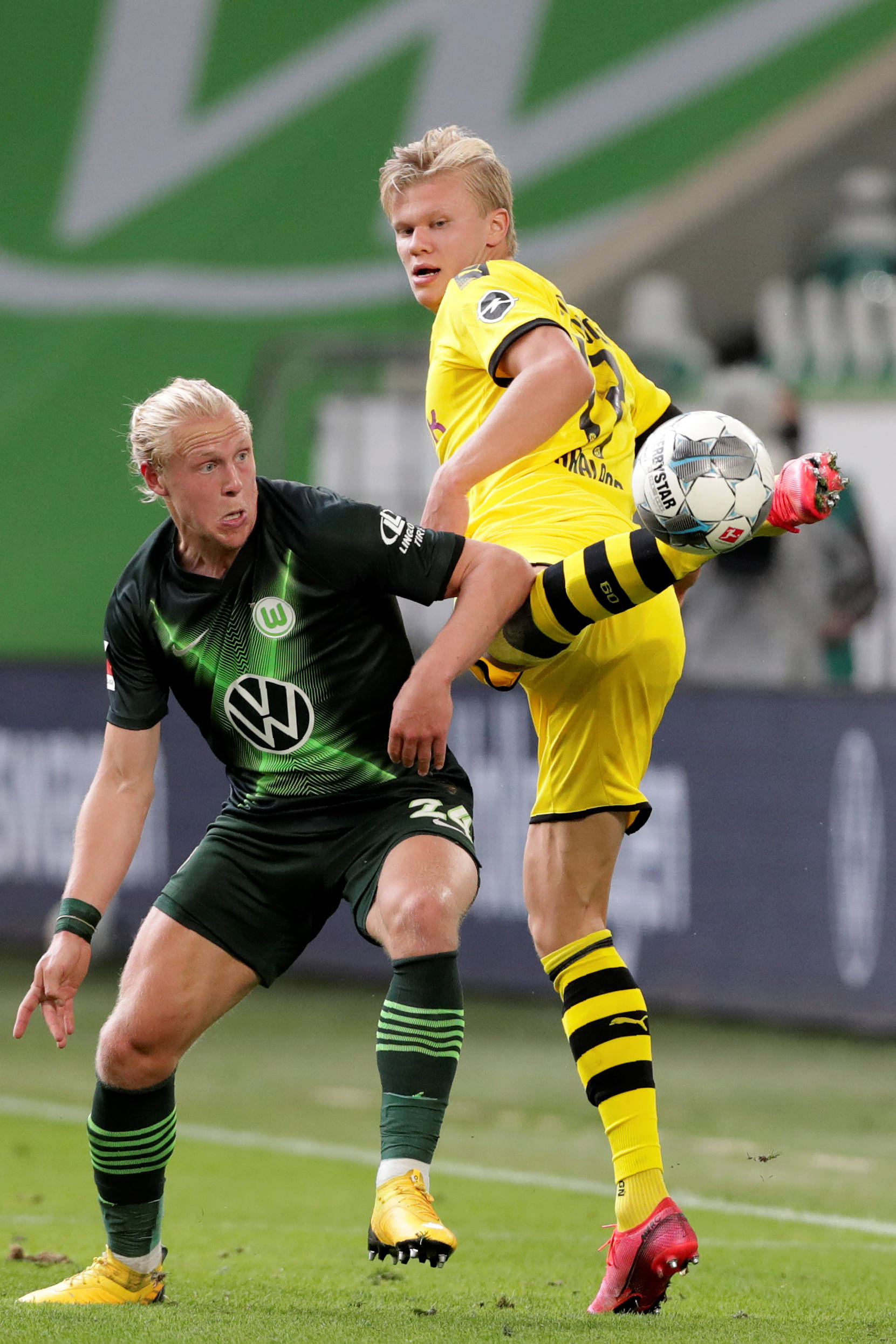 观众们奉献 观众们奉献